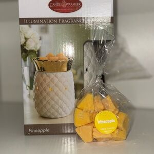 Large Electric Candle Warmers Illumination Fragrance Warmer